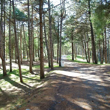 호텔 Le Due Lanterne Aieta